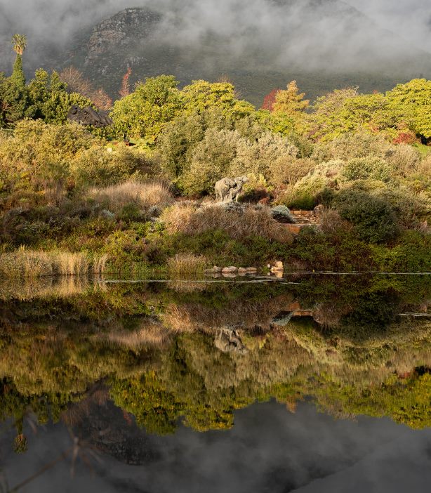 Mountain ecosystem reflected in a clear lake